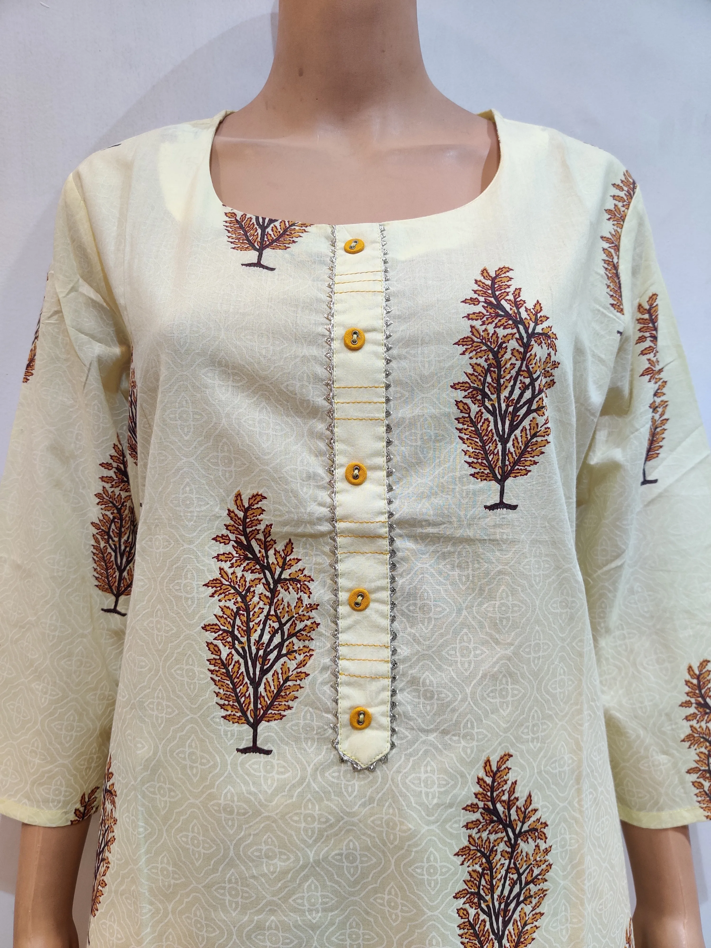 Baby’s Breath Kurta with pant