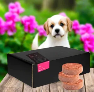 Birdy Pure Chicken (build Lean Muscle And To Lose Weight) - 7kg (35 X 200g patties)