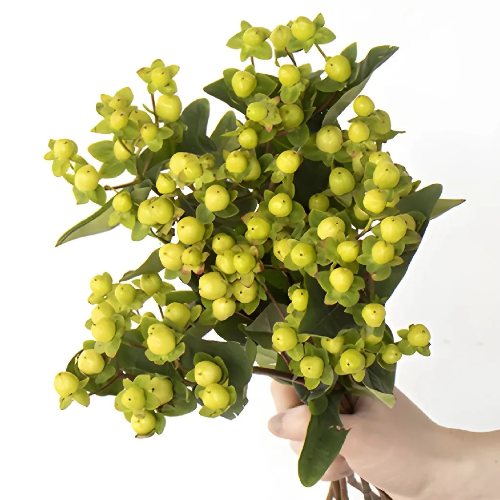 Lemon Lime Hypericum Berries