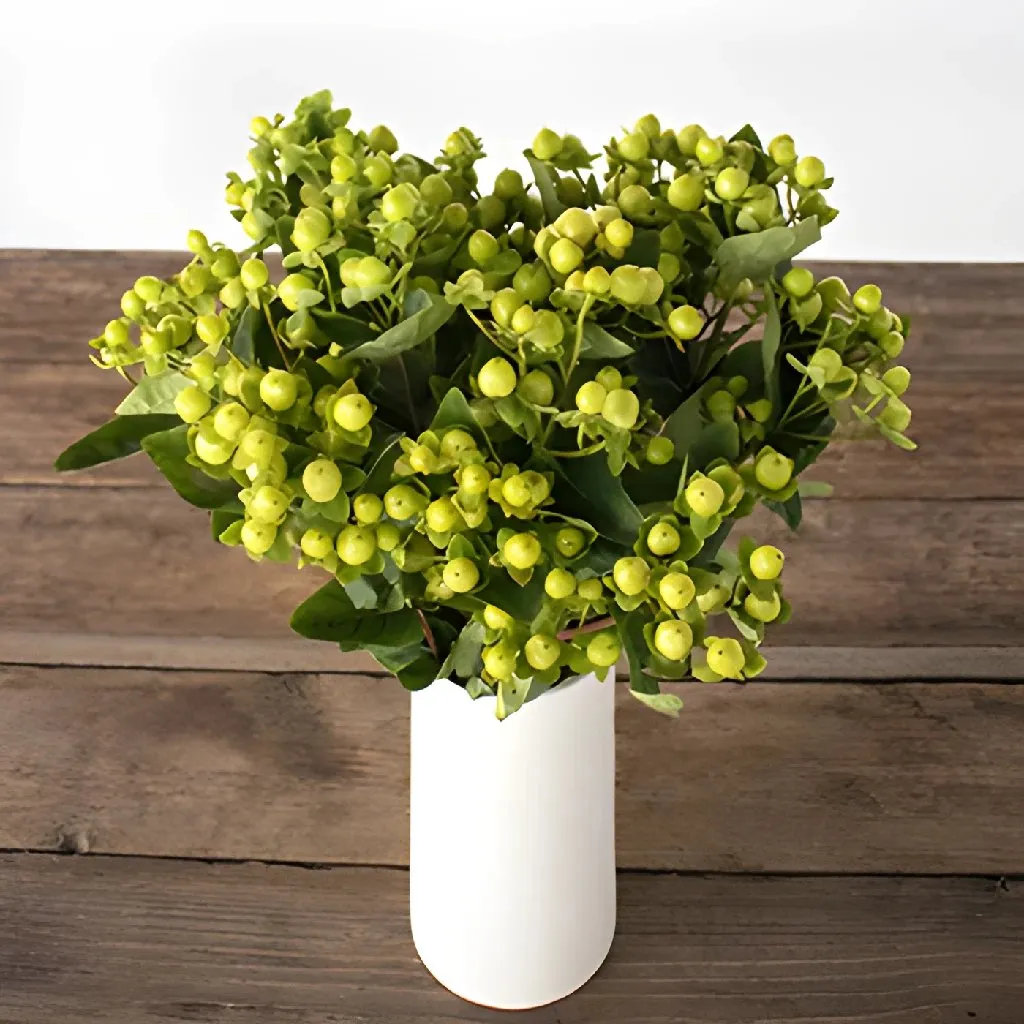 Lemon Lime Hypericum Berries