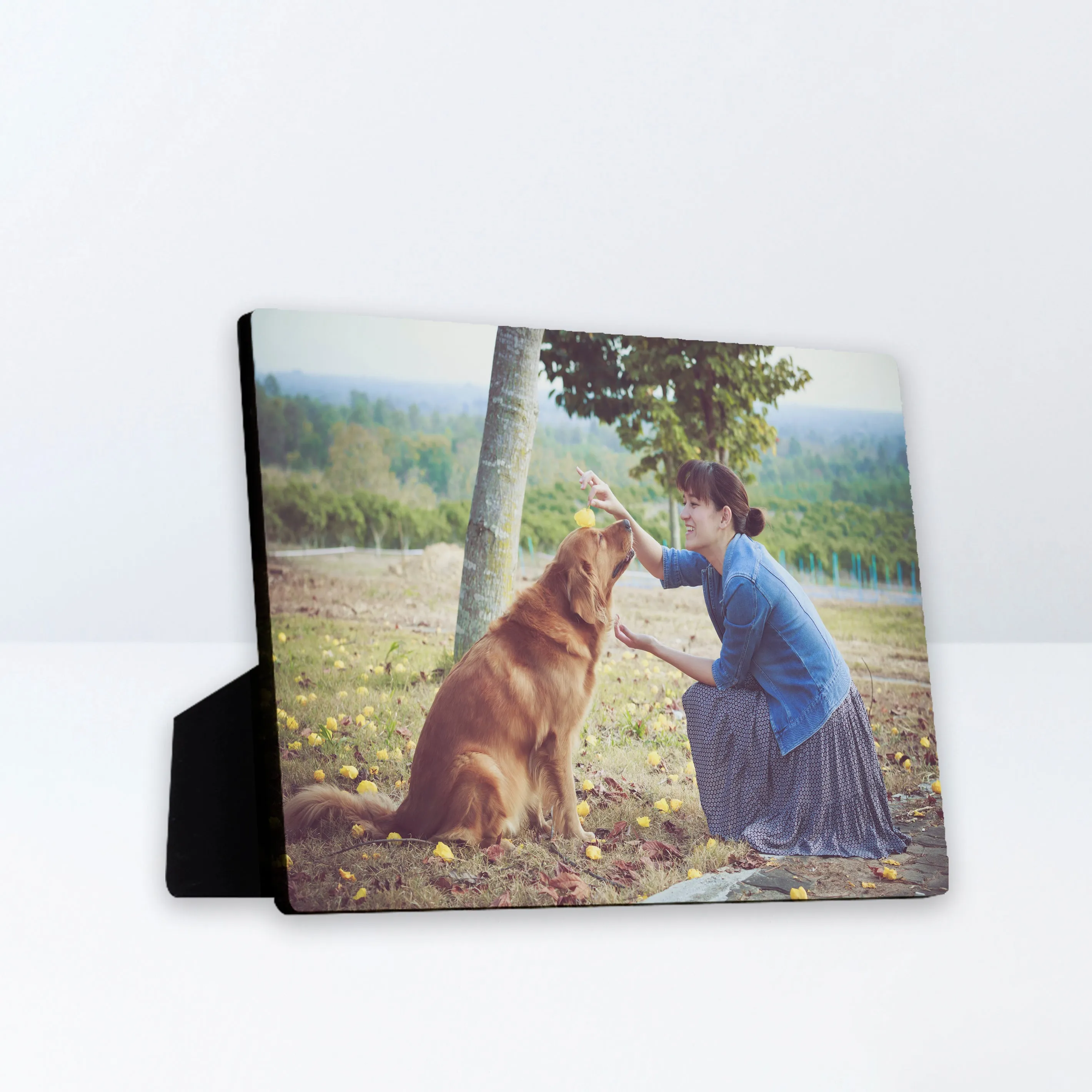 Photo Plaques and Desktop Plaques