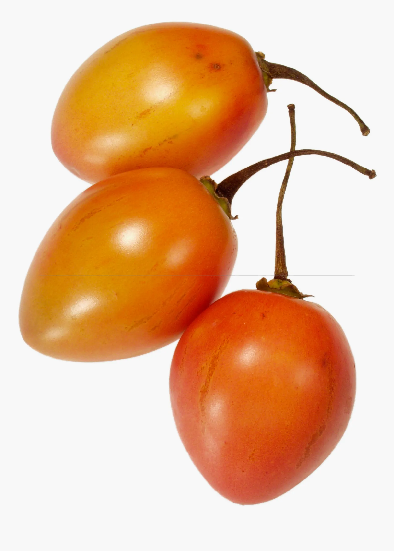 Tree Tomato Bundle: Orange   Red