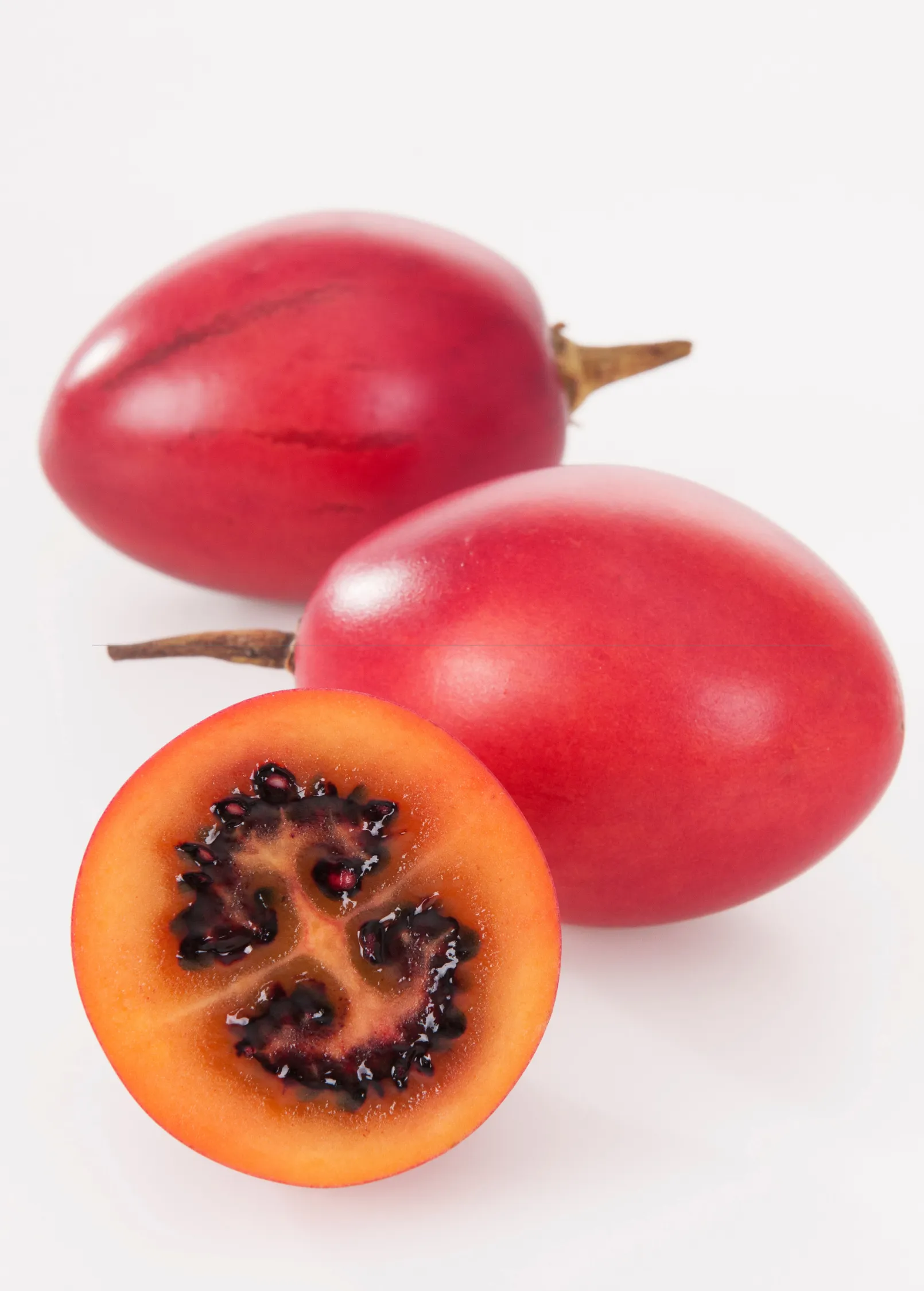 Tree Tomato Bundle: Orange   Red