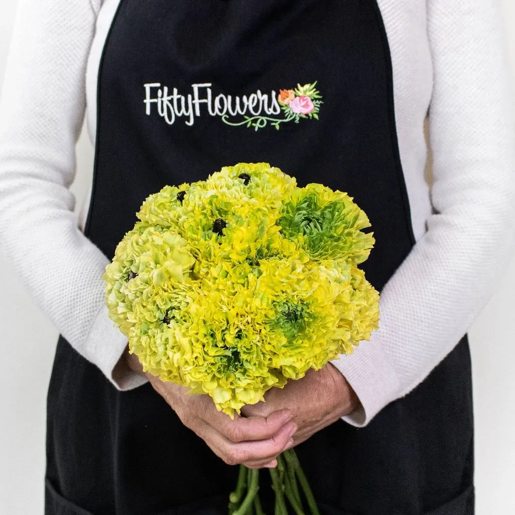 Yellow and Green Pon Pon Ranunculus